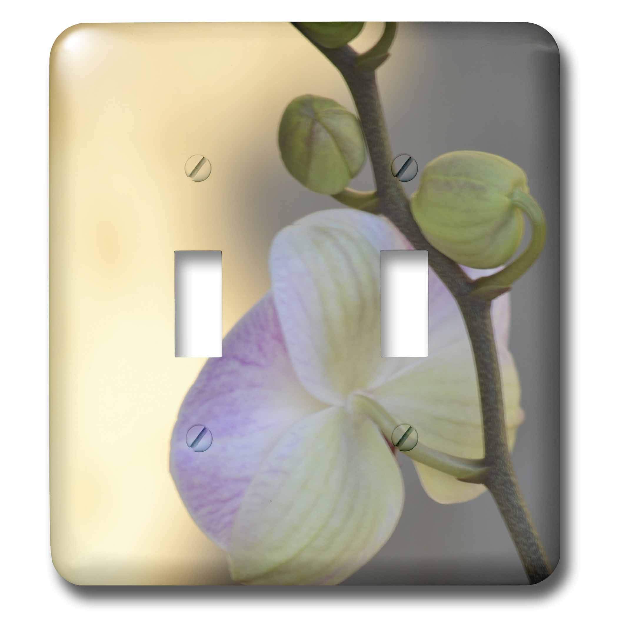 Amazon.co.jp: 3drose LLC lsp _ 37939 _ 2ピンクOrchid